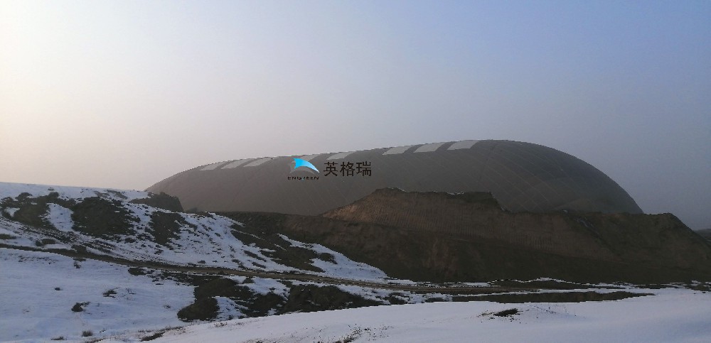 1703819278201896.jpg 英.jpg